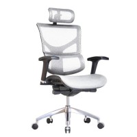 Эргономичное офисное кресло Expert Sail Art (белая сетка)